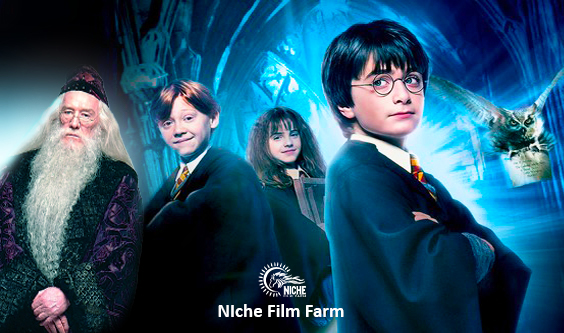 Exploring the Magic of Harry Potter and the Sorcerer’s Stone - Niche Film Farm