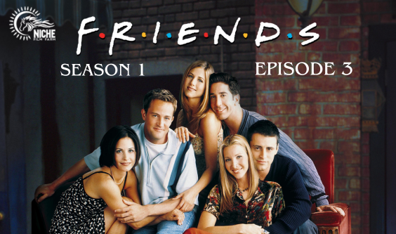 “Friends” Deep Dive: Unpacking “The One with the Thumb” - Niche Film Farm