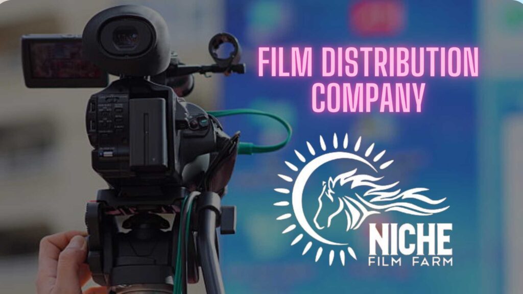 How Does a Film Distribution Company Distributes a Film?
